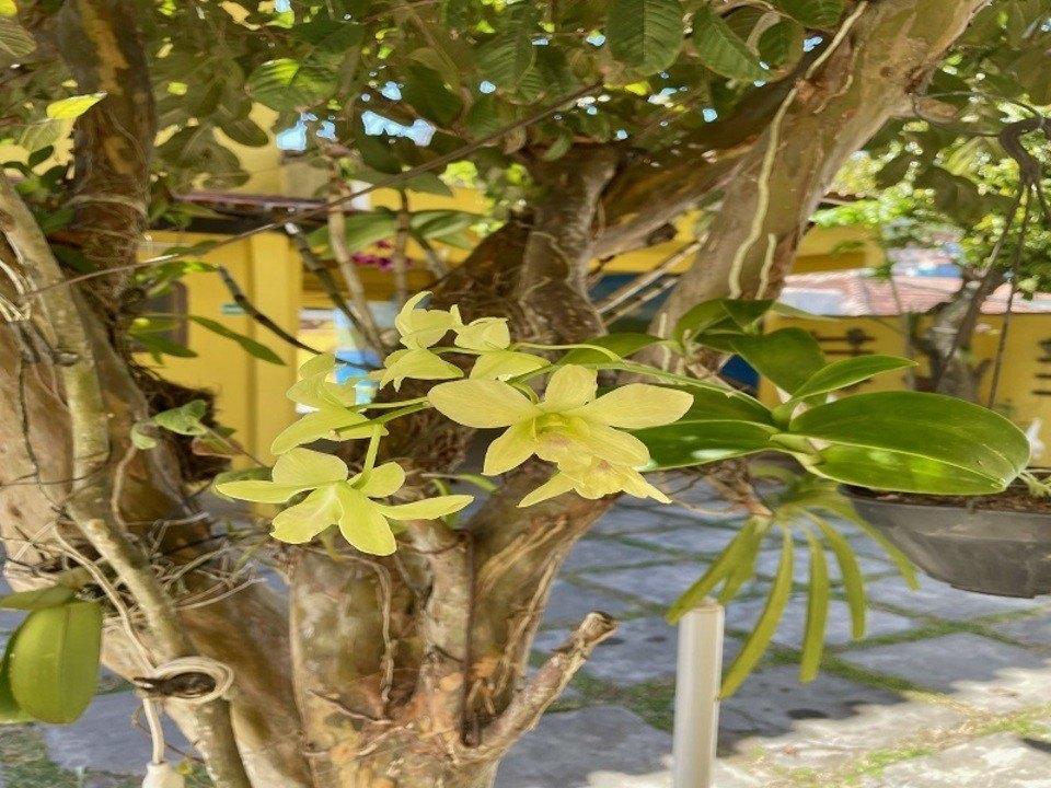 Pousada Toca Dos Coelhos Arraial do Cabo Ngoại thất bức ảnh